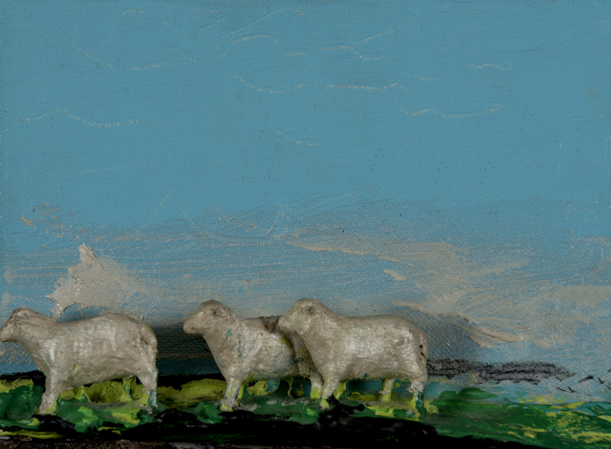 Three Sheep Image